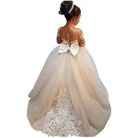 Baby Girl Long Sleeve Tulle Dress Flower Child Wedding Dress Train Lace Dress for 1 to 16 Toddler
