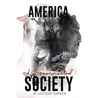 America: A Disconnected Society America: A Disconnected Society Paperback Kindle Audible Audiobook