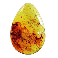 Natural Baltic Sea Amber Cabochon Pear Shape Size 43x30x5 MM Smooth Polished Amber Loose Semi Precious Gemstone Fossilized Amber Tree Resin