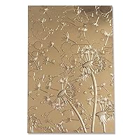 Sizzix 3-D Textured Impressions Embossing Folder Dandelion Wish by Kath Breen, 665001, Multicolor