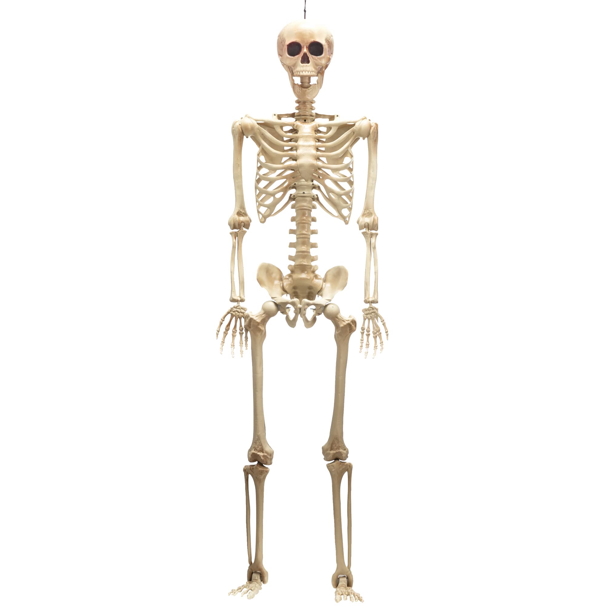 JOYIN 5 ft Halloween Life-Size Skeleton with Red Light Eyes, Full Body Human Bones with Posable Joint for Halloween Decorations, Haunted House Accessories, Indoor/Outdoor Spooky Scene Party Favors