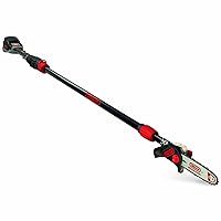 Oregon PS250 Pole Saw with 4.0 Ah Battery and Standard Charger, Cordless Rechargeable Extendable Shaft Branch Cutter and Low Noise (563454)