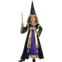 Rubie's Renaissance Faire Wizardess Dress and Hat Costume