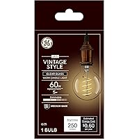 Lighting VintaStyle LED Globe Light Bulb, 5 Watt (60 Watt Equivalent) Warm Candle Light, Clear Glass, Medium Base, Dimmable (1 Pack)