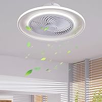 SEYFI Silent Ceiling Fan with Light and Remote Control 3 Speeds Bedroom Dimmable Led Fan Ceiling Light with Timer Modern Living Room Quiet Ceiling Fan Light 72W