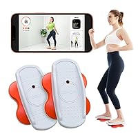 DIPDA- Compact Core Twisters for Home Gym - Workout Twist Boards for Exercise Twister | Twister Exercise Board | Ab Board Exercise Twister Board As Seen on TV | Twisting Waist Exercise Equipment