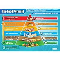 Daydream Education Food Pyramid Science Poster - Laminated - Large Format 33” x 23.5” - STEM Classroom Decoration - Bulletin Banner Charts