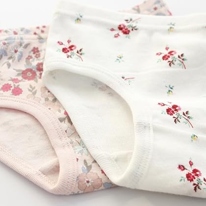 Closecret Kids Series Baby Soft Cotton Panties Little Girls' Assorted Briefs Multipack