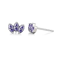 Limerencia G23 Titanium Hypoallergenic Earrings, CZ Crown Cubic Zirconia, Implant Grade Piercing jewelry Suitable for Women for Sensitive Ears Delicate Jewelry