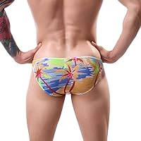 Mens Hammock Pouch Underwear Briefs Comfort Jock Strap Breathable Male Bikini Sports Supporters Soft Graphic Thongs