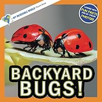 Backyard Bugs!: A My Incredible World Picture Book for Children (My Incredible World: Nature and Animal Picture Books for Children)