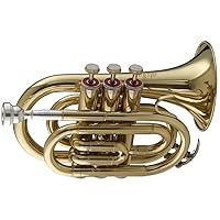 Stagg WS - TR245 Bb Pocket Trumpet with Case 6.00 x 3.00 x 8.00 inches