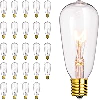 24 Pack Edison Replacement Light Bulbs,7W E17 Screw Base ST40 Replacement Clear Glass Light Bulbs for Outdoor Patio ST40 String Lights