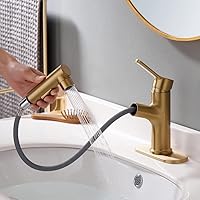 Bathroom Sink Faucet Single Hole Bathroom Faucet with Pull Out Sprayer Modern Vanity Faucet, Bar Utility Sink Faucets (Brushed Gold, Regular)