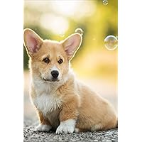Welsh Corgi Puppy Notebook: I Have Obsessive Corgi Disorder Notebook