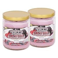 Smoke Odor Exterminator Mulberry And Spice Candle 13 oz - Pack of 2