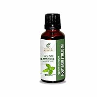 Holy Basil (Tulsi) Oil (Ocimum Sanctum Syn O. Tenuiflorum) Essential Oil 100% Pure Natural Undiluted Uncut Therapeutic Grade Oil 16.90 Fl.OZ