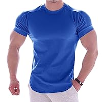 Men's Fitness T-Shirt Short Sleeve Sport Quick Dry Stretch Training Clothing