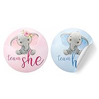 Elephant Baby Gender Reveal Party, Team He or Team She Stickers - 40 Labels, Little Peanut Gender Reveal