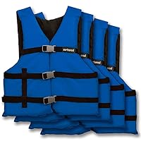 Airhead Adult General Purpose Life Vest 4-Pack, Multiple Colors Available
