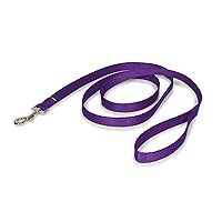 PetSafe Nylon Dog Leash - Strong, Durable, Traditional Style Leash with Easy to Use Bolt Snap - 3/4 in. x 6 ft., Deep Purple