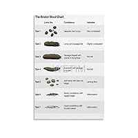 Bristol Stool Chart Diagnosis Constipation Diarrhea Bristol Stool Chart Poster (3) Canvas Painting Posters And Prints Wall Art Pictures for Living Room Bedroom Decor 24x36inch(60x90cm) Unframe-style