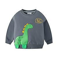 Kids Toddler Baby Girls Boys Autumn Winter Print Dinosaur Cotton Long Sleeve Hoodie Clothes Youth Thermal