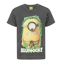 Minions Despicable Me T-Shirt Kids Boys Girls Character Charcoal Top