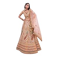 pink Indian Wedding heavy zarkan Zardosi Velvet Bridal Multi Pink Polti bag Lehenga Choli Dupatta 3811