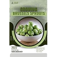 Brussels Sprouts: Guide and overview
