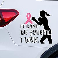 It Came We Fought I Won Car Window Stickers Breast Cancer Ribbon Heal Car Decal Window Decal Fighte Cancer Awareness Warrior Window Bumper Decals Decor for Car Truck Window Wall Gift to Mom Women