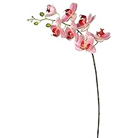 Vickerman FA172204 Everyday Orchid Stem