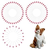 Mouth Swabs, 100pcs Mouth Sponges on a Stick, Disposable Oral Swabs, Pet Teeth Cleaning Kit Dental Swabsticks for Elderly, Kids, Pet Mouth Cleaning