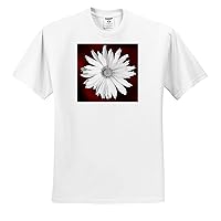 3dRose Photograph of a White Maximilian Sunflower on a red Background. - T-Shirts (ts_336723)