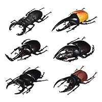 Pack of 6 Lifelike Beetle Model Toys, Fake Realistic Insect Figures Collection Playset Science Educational Learning Toys for Kids Toddlers Halloween Party Favors(5.5inch)