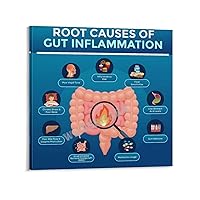 SLRSWMYS Root Causes of Gut Inflammation Poster Hospital Gastroenterology Canvas Painting Posters And Prints Wall Art Pictures for Living Room Bedroom Decor 20x20inch(50x50cm) Frame-style