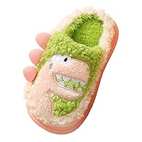 Wide Sandals for Toddler Boys Girls Boys Unisex Home Slippers Warm Dinosaur House Toddler Sandals Boys Casual