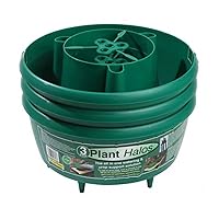 GP167G Green Plant Halos (Pack of 3),Small