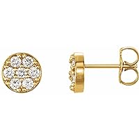 14k Yellow Gold 3/8 CTW Natural Diamond Cluster Stud Earrings Gift for Mothers Day