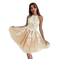 2022 Halter Lace Appliques Short Homecoming Dress Tulle Mini Cocktail Formal Dresses for Juniors