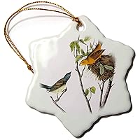 3dRose PS Vintage - Blue and Yellow Bird with Nest Vintage - Ornaments (orn-151961-1)