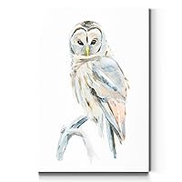 Portrait Style Canvas Wall Art: Animals, Majestic Birds, Fish, Water Foul, Duck & Goose, Rabbits, Rustic & Modern Decor for Home & Office, Ready to Hang - Arctic Owl II 24X36
