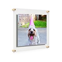 COOLMODERNFRAMES Clear Floating Double Panel Acrylic Picture Frame, 11x14-Inch Art & Photos, Gold Hardware