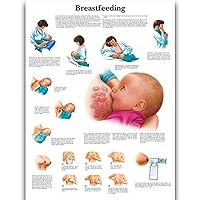 UNIEARTH Breastfeeding Science Anatomy Posters for Walls Medical Nursing Students Educational Anatomical Human Organs Skeletal Muscles Poster Chart Medicine Disease Map for Doctor Enthusiasts Kid's Enlightenment Education W,20*30inches