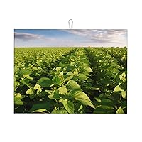 Soybean Field Dish Drying Mat Super Absorbent Heat Resistant Dish Drying Pad Microfiber Drainer Rack Mats For Kitchen Countertop Coffee Bar 18 X 24 Inches