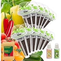 Seed Starter Pod Kit Plant for AeroGarden, idoo, Ahopegarden, and inbloom 10 Pods Hydroponics, Seed Starting Pod Kits for Indoor Garden, 350+ seeds(Heirloom Cherry Tomato, Chili, Pepper, and Cucumber)