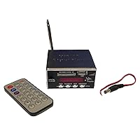 Audiopipe NDVA1000 Nippon Digital Mp3 Player With Fm Radio Usb/sd Remote Control