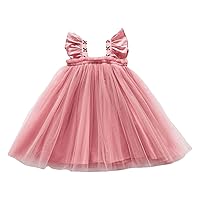 Toddler Flower Girl Dress,Sleeveless Tulle Tutu Fairy Layered Dresses Toddler Party Dress Kids