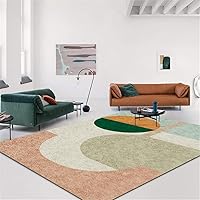 Modern Area Rugs for Living Room Bedroom Carpet Contemporary Easy to Clean Fade Resistant Super Soft Rug Mat (Color : B1, Size : 1.8x3m)