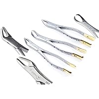 Premium German Dental Extracting Extraction Forceps #150#151#23 Gold Handle-Extraction Forceps Dental Instruments-Cynamed